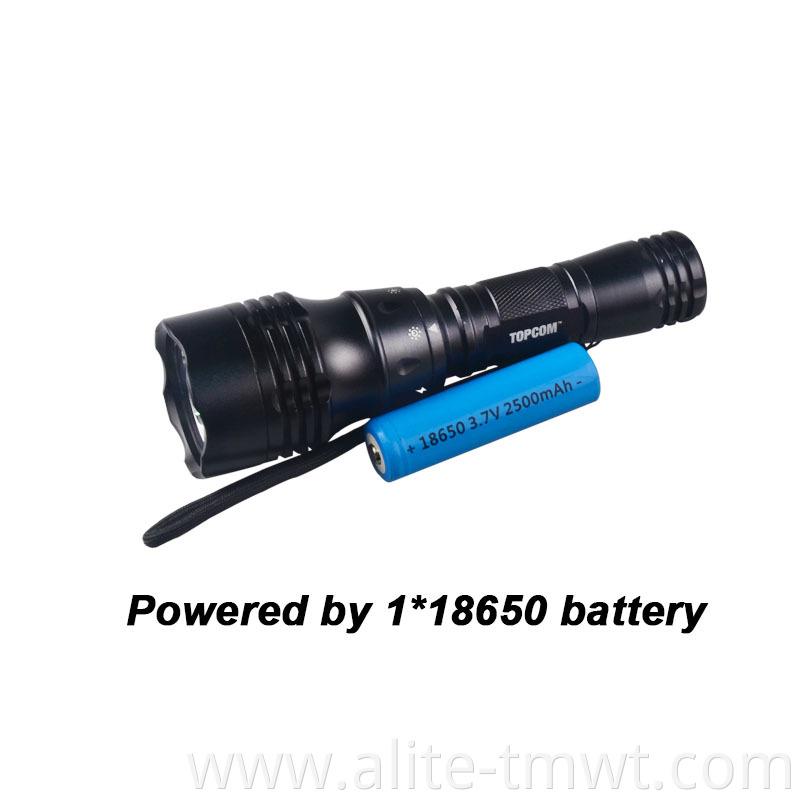 Topcom High Quality 18650 Powered Wide Angle Beam Underwater Torch Diving Flash Light